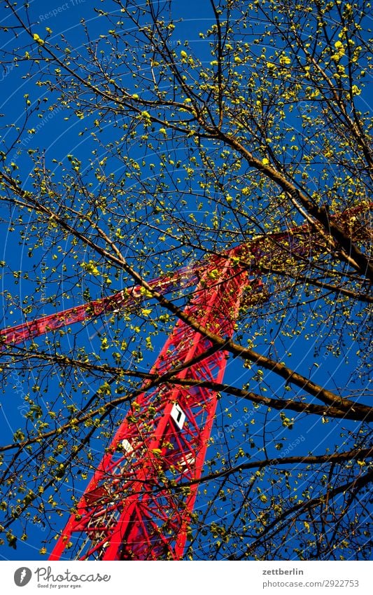 Baustelle im Frühling drehkran Froschperspektive Gebäude Gewerbe Gewerkschaft Himmel Himmel (Jenseits) Blauer Himmel himmelblau Industrie Kran Montage