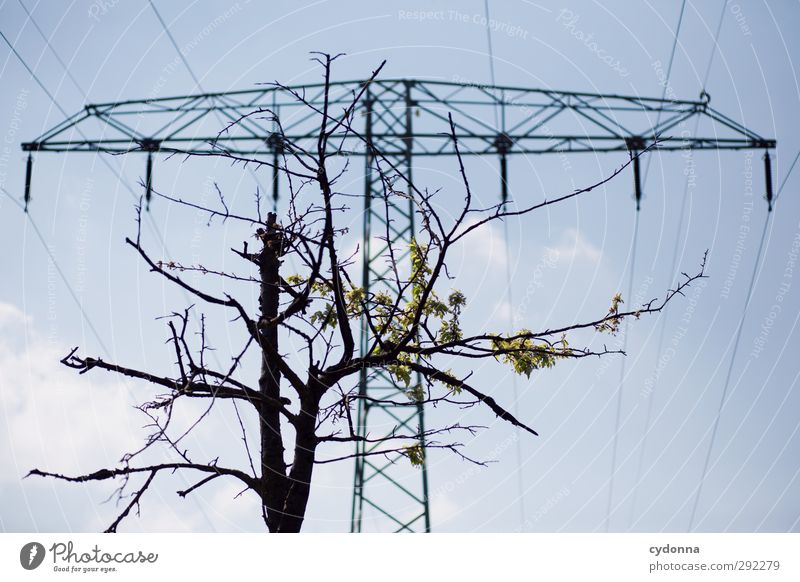 Ökostrom Fortschritt Zukunft Energiewirtschaft Erneuerbare Energie Energiekrise Umwelt Natur nur Himmel Frühling Baum ästhetisch Beratung Partnerschaft