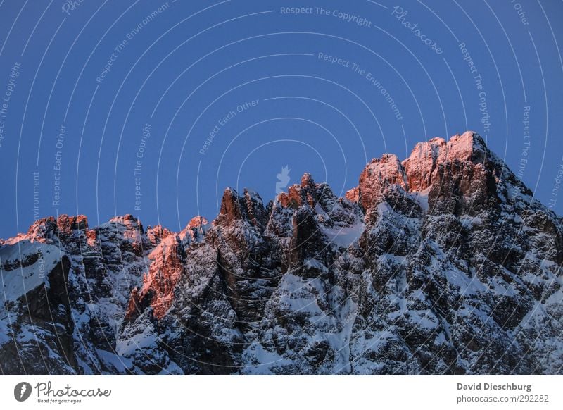 Bergglühen Natur Landschaft Wolkenloser Himmel Winter Schönes Wetter Eis Frost Schnee Felsen Alpen Berge u. Gebirge Gipfel Schneebedeckte Gipfel Gletscher blau