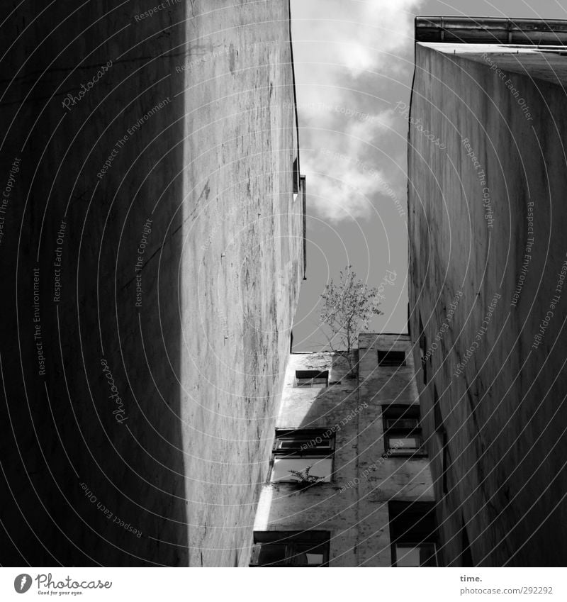 Alte Häuser | Hinterhofidyll Himmel Wolken Schönes Wetter Baum Stadtzentrum Altstadt Haus Hochhaus Bauwerk Gebäude Architektur Mauer Wand Fenster Dachrinne