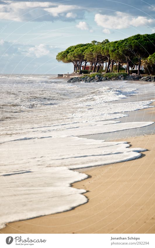 Korsika I Ferien & Urlaub & Reisen Ferne Freiheit Sommer Sommerurlaub Sonnenbad Strand Meer Insel Wellen Umwelt Natur Landschaft Lebensfreude Baum Wellness