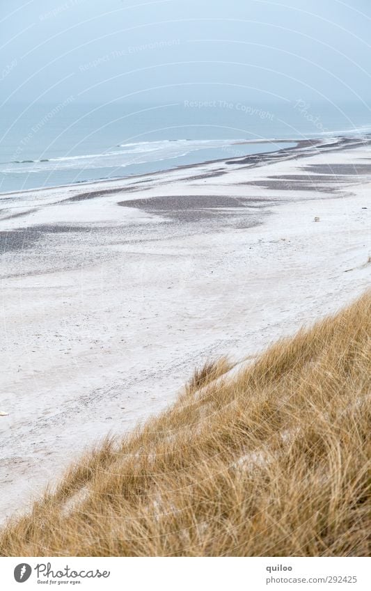 Küstenstreifen Ferien & Urlaub & Reisen Strand Meer Wellen Nordsee Düne Dünengras Sandstrand Unendlichkeit oben schön blau gelb grau weiß Glück Zufriedenheit