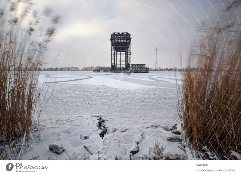 ruinös Landschaft Pflanze nur Himmel Wolken Gewitterwolken Horizont Winter schlechtes Wetter Eis Frost Gras Küste Flussufer Menschenleer Haus Industrieanlage