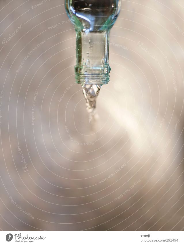 plätscher Getränk Erfrischungsgetränk Trinkwasser Flasche Flaschenhals Glasflasche Flüssigkeit nass Farbfoto Innenaufnahme Menschenleer Textfreiraum unten Tag