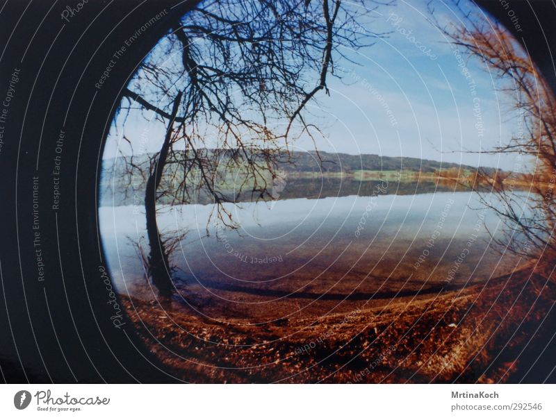 fisheye. Umwelt Natur Landschaft Himmel Wolken Sonne Sonnenlicht Frühling Sommer Wetter Schönes Wetter Wald Küste Seeufer Flussufer Strand Bucht Teich Freude