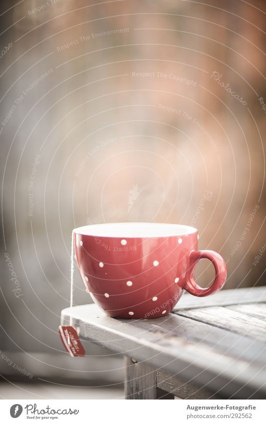 Teatime Lebensmittel Getränk Heißgetränk Tee Geschirr Tasse Gesundheit Tisch Erholung genießen trinken heiß feminin ruhig rot Punkt Farbfoto Außenaufnahme Tag