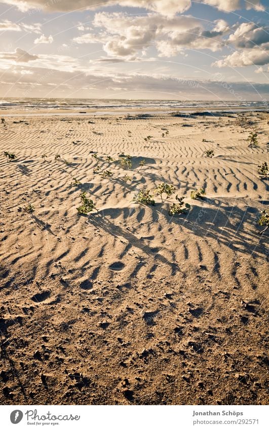 Korsika VIII Ferien & Urlaub & Reisen Freiheit Sommer Sommerurlaub Sonnenbad Strand Meer Insel Wellen Umwelt Natur Landschaft Sandstrand Mittelmeer Farbfoto