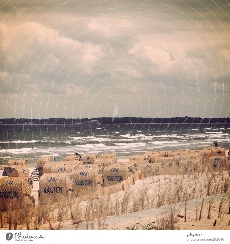 die ordnung der dinge Umwelt Natur Landschaft Urelemente Sand Wasser Himmel Wolken Wetter schlechtes Wetter Unwetter Wind Sturm Pflanze Gras Wellen Küste Strand