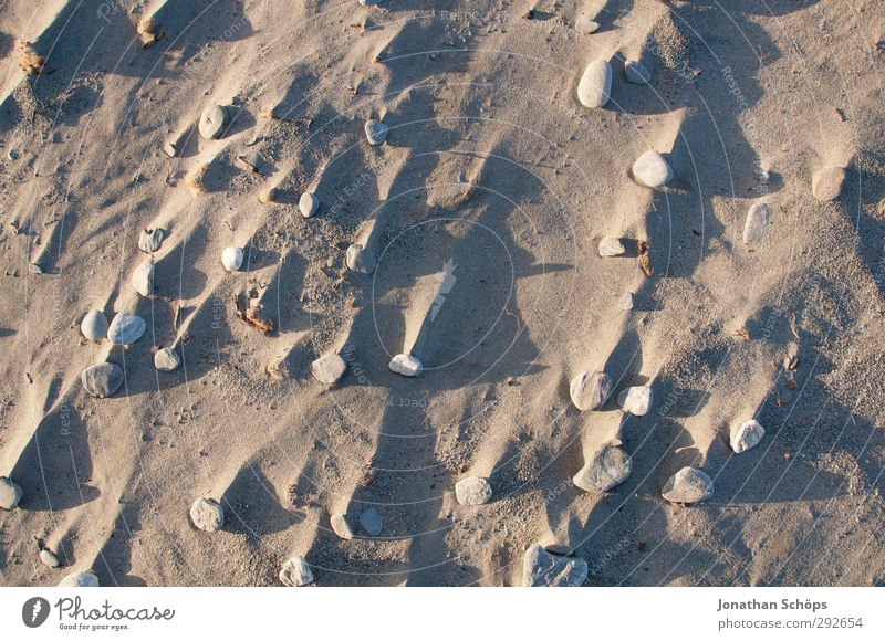 Korsika XII Ferien & Urlaub & Reisen Sommer Sommerurlaub Sonnenbad Strand Insel Umwelt Natur Sandstrand Farbfoto Außenaufnahme Menschenleer Tag Licht