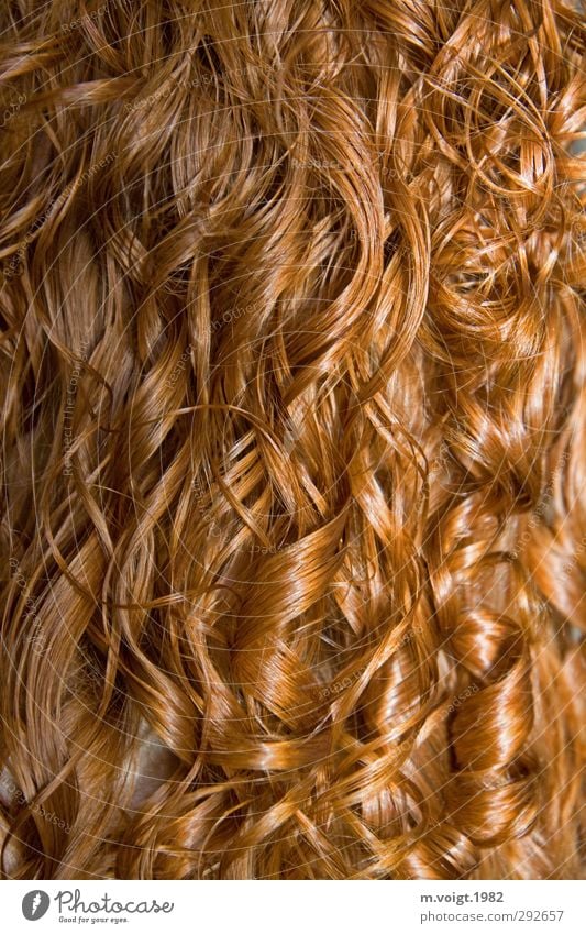 Rote Locken schön Haare & Frisuren feminin rothaarig langhaarig glänzend nass Sauberkeit Farbfoto Detailaufnahme Muster