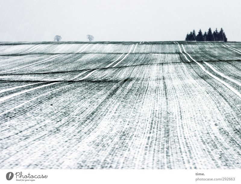 Winterschläfchen Umwelt Natur Landschaft Himmel Eis Frost Schnee Baum Feld Hügel Zufriedenheit Verschwiegenheit ruhig Weisheit Erschöpfung Einsamkeit