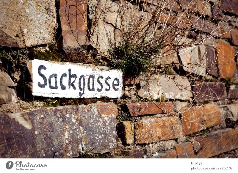 Sackgasse Mauer Wand Steinmauer Verkehrswege Schriftzeichen Schilder & Markierungen Hinweisschild Warnschild authentisch außergewöhnlich einfach einzigartig