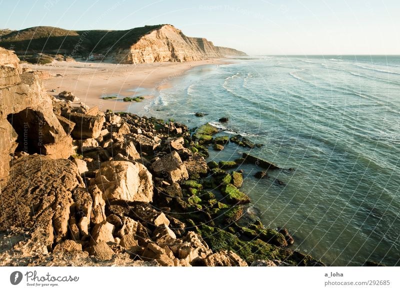 great sunshiny day Umwelt Natur Landschaft Pflanze Urelemente Erde Wasser Wolkenloser Himmel Horizont Sommer Schönes Wetter Felsen Wellen Küste Strand Meer blau