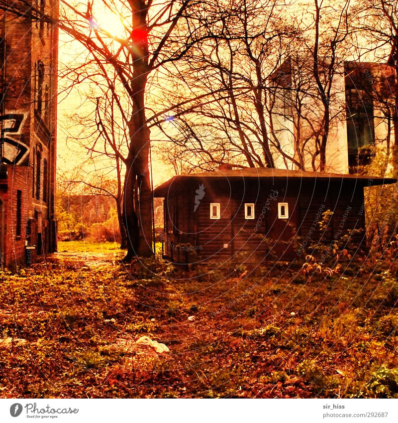 Alte Häuser (nachgelegt) | Treffen der Generationen Pflanze Baum Blatt Traumhaus Hütte Industrieanlage Burg oder Schloss Ruine Fassade Moritzburg alt Armut