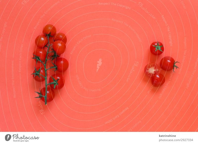 Kirschtomaten auf korallenrotem Hintergrund Gemüse Vegetarische Ernährung Diät frisch hell oben Zutaten roh minimalistisch Entwurf leer Lebensmittel Gesundheit