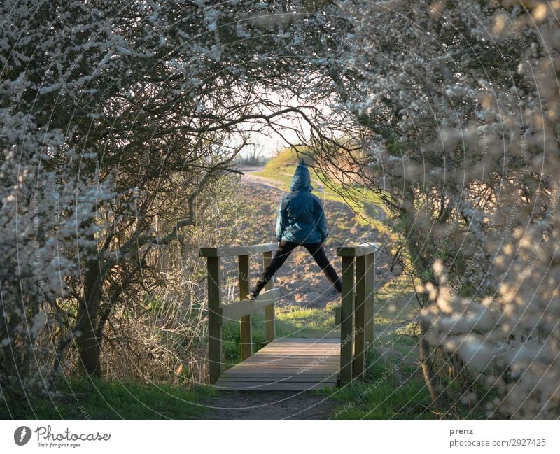 Brückentag Mensch feminin Mädchen Kindheit Jugendliche 1 8-13 Jahre Umwelt Natur Landschaft Pflanze Frühling Sommer Schönes Wetter Sträucher Ostsee blau grün