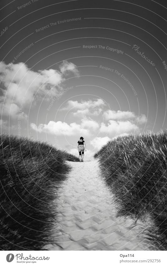 Long Way Home II Mensch feminin Frau Erwachsene Mutter 1 30-45 Jahre Umwelt Natur Landschaft Sommer Nordsee wandern Unendlichkeit schwarz weiß Freiheit "Sylt