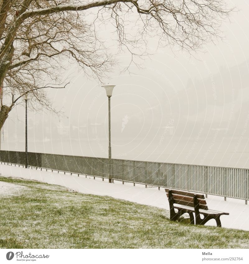 Winterrhein Tourismus Ausflug Umwelt Landschaft schlechtes Wetter Schnee Schneefall Baum Geäst Flussufer Rhein Promenade Dorf Geländer Schifffahrt