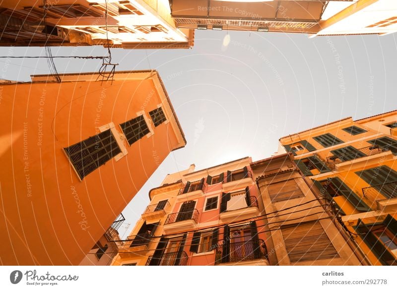 Noch 7 Wochen bis zur Sommerzeit Luft Wolkenloser Himmel Schönes Wetter Wärme Hauptstadt Stadtzentrum Altstadt Haus Bauwerk Gebäude Architektur Mauer Wand