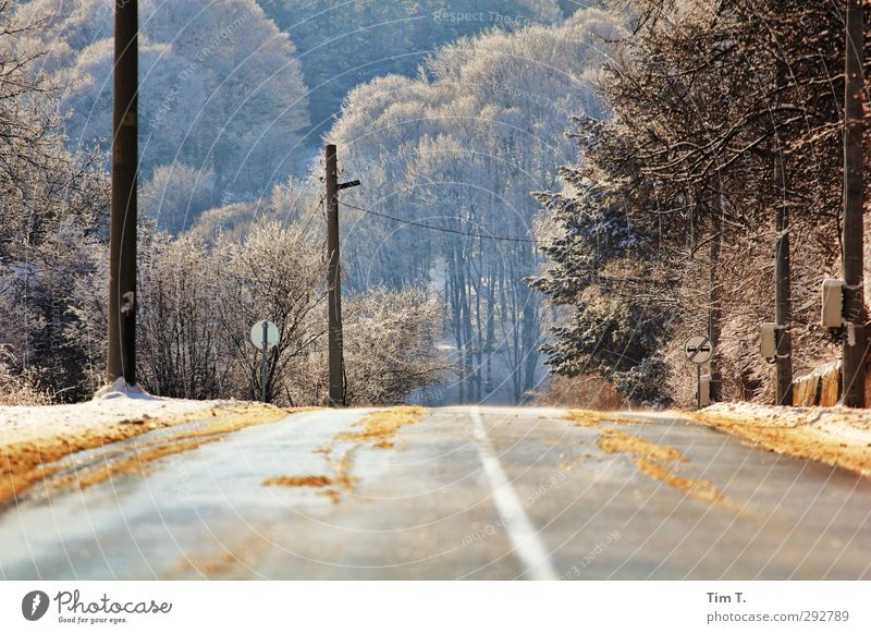 Bulgarien Umwelt Sonnenlicht Winter Schnee Baum Wald Verkehrswege Straßenverkehr Autofahren Einsamkeit Freiheit Landstraße Farbfoto Außenaufnahme Menschenleer