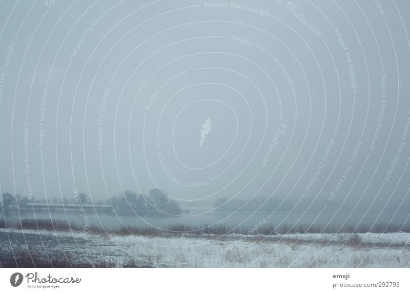 Schneegestöber Umwelt Natur Landschaft Himmel Winter Klima Wetter schlechtes Wetter Unwetter Wind Sturm Eis Frost Schneefall Feld Seeufer kalt blau Schneesturm