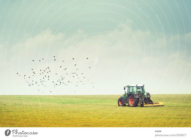 Voll am ackern Sommer Arbeit & Erwerbstätigkeit Landwirtschaft Forstwirtschaft Maschine Technik & Technologie Umwelt Natur Landschaft Himmel Horizont