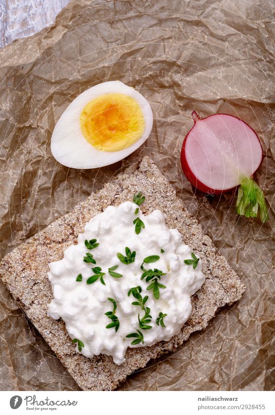 Knäckebrot mit Frischkäse, Ei und Radieschen Lebensmittel Käse Milcherzeugnisse Gemüse Getreide Teigwaren Backwaren Kräuter & Gewürze Perlhuhnei Ernährung