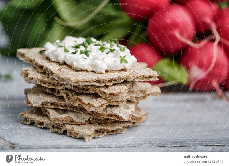 Knäckebrot mit Frischkäse und Radieschen Lebensmittel Käse Joghurt Milcherzeugnisse Gemüse Teigwaren Backwaren Brot Kräuter & Gewürze Knäckerbrot Bioprodukte