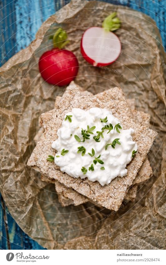 Knäckebrot mit Radieschen Lebensmittel Käse Joghurt Milcherzeugnisse Gemüse Teigwaren Backwaren Kräuter & Gewürze Knäckerbrot Frischkäse Ernährung Bioprodukte