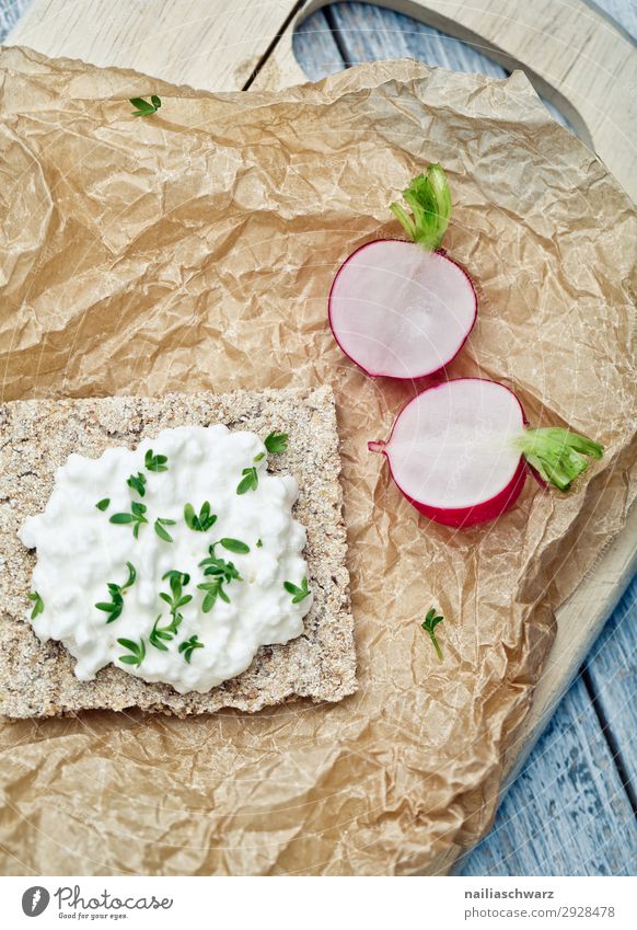 Knäckebrot mit Radieschen Lebensmittel Joghurt Milcherzeugnisse Gemüse Teigwaren Backwaren Brot Kräuter & Gewürze Frischkäse Ernährung Bioprodukte