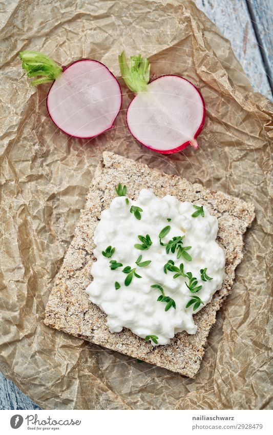 Knäckebrot mit Hüttenkäse und Radieschen hardbread Käse Frischkäse Brot Rettich braun weiß Gemüse Vegetarier frisch Lebensmittel Slowfood Bioprodukte