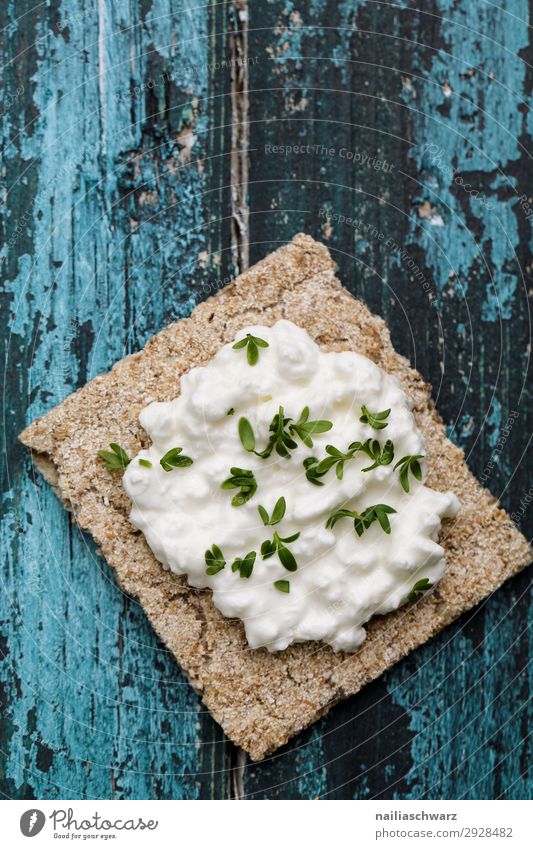 Knäckebrot Lebensmittel Käse Milcherzeugnisse Kräuter & Gewürze Frischkäse Ernährung Frühstück Bioprodukte Vegetarische Ernährung Diät Lifestyle Gesundheit