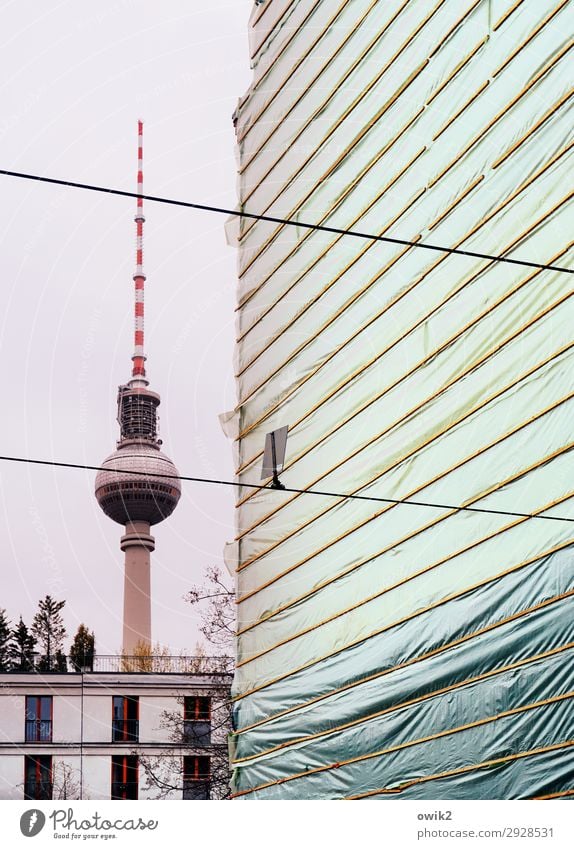 Berliner Luft Luft Luft Himmel Baum Berlin-Mitte Berliner Fernsehturm Hauptstadt Stadtzentrum Skyline bevölkert Haus Turm Bauwerk Gebäude Architektur Mauer Wand