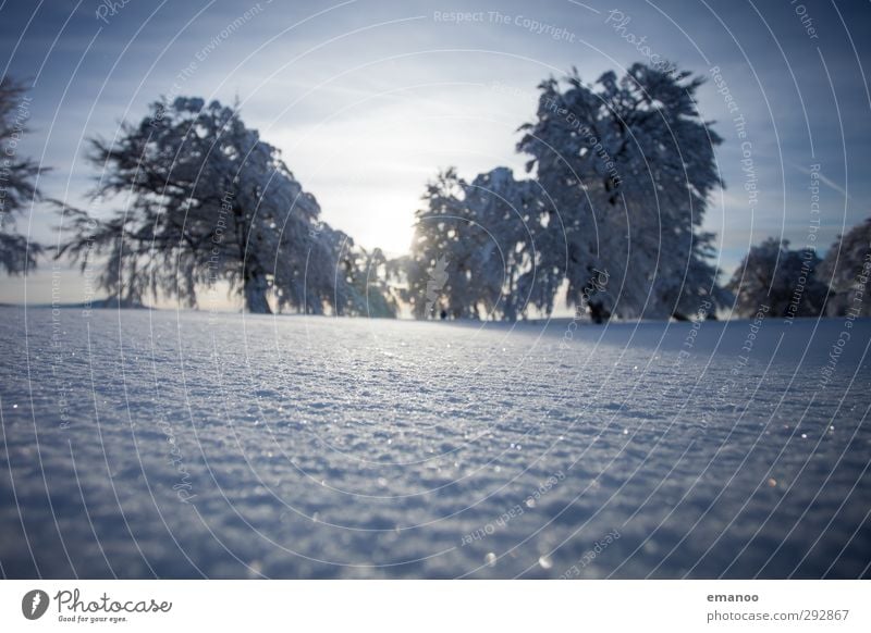 Winterwetterbuchen Ferien & Urlaub & Reisen Tourismus Schnee Winterurlaub Berge u. Gebirge wandern Umwelt Natur Landschaft Pflanze Himmel Sonne Klima Wetter Eis