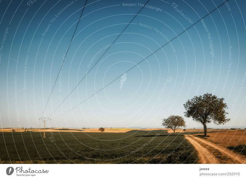 Strommast mit Überlandleitungen auf freiem Feld mit Bäumen und Feldweg Elektrizität Stromtrasse Landschaft Energiewirtschaft Hochspannungsleitung Horizont