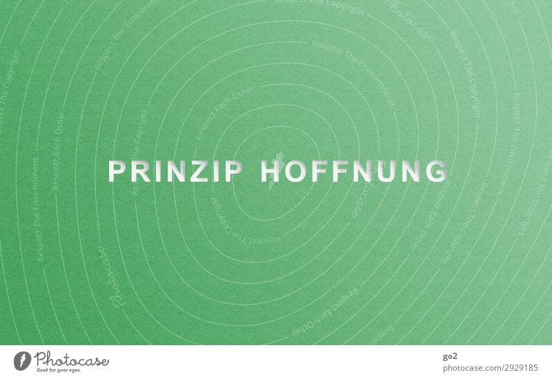 Prinzip Hoffnung Schriftzeichen einfach grün Optimismus Menschlichkeit vernünftig Glaube demütig Gesellschaft (Soziologie) Religion & Glaube Glück Leben