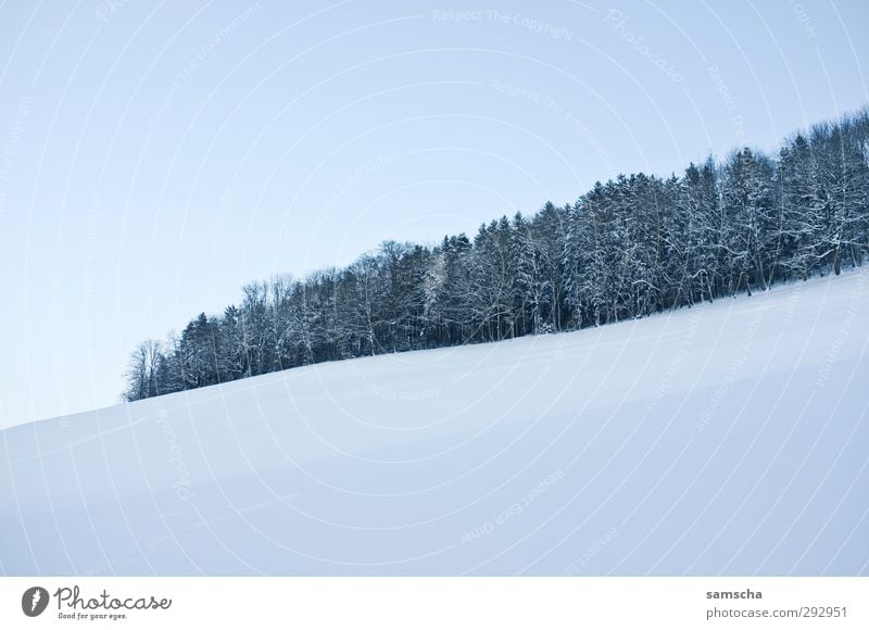 Winterwald II Schnee Winterurlaub wandern Umwelt Natur Landschaft Himmel Klima Klimawandel Wetter Eis Frost Wald kalt natürlich Umweltverschmutzung Umweltschutz