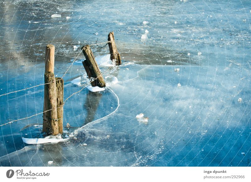 Voll von Holzpfosten Umwelt Natur Landschaft Urelemente Wasser Himmel Wolken Winter Klima Eis Frost See Fluss Zaun Stacheldraht Barriere Draht Stacheldrahtzaun