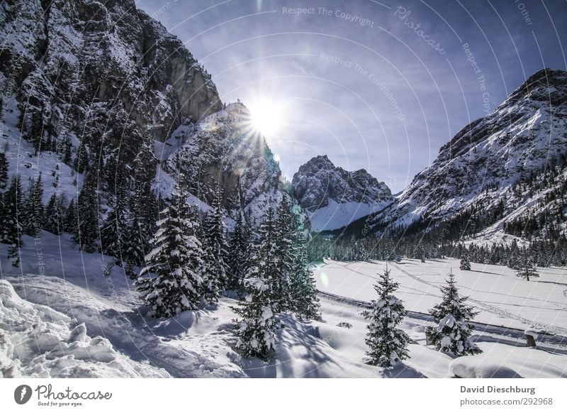 Wintertraum Ferien & Urlaub & Reisen Abenteuer Expedition Schnee Winterurlaub Berge u. Gebirge wandern Landschaft Himmel Wolken Schönes Wetter Eis Frost Baum