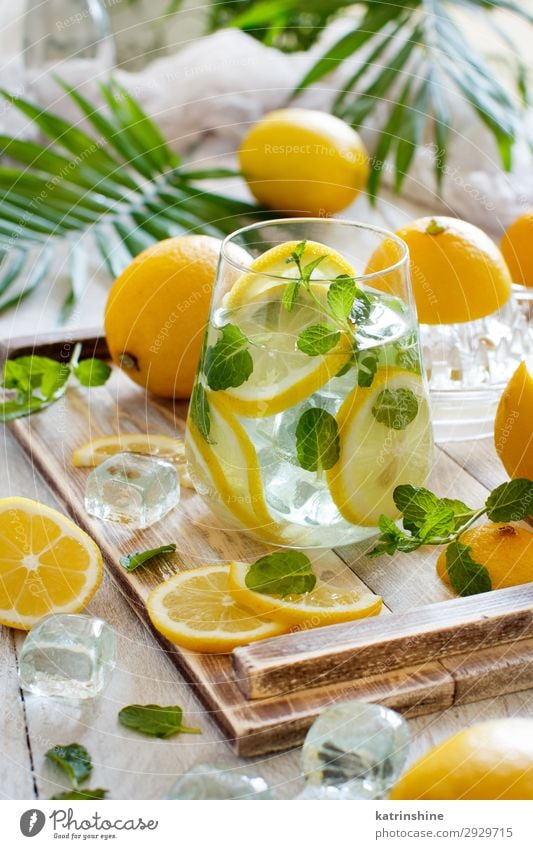 Hausgemachte erfrischende Limonade Frucht Getränk Saft Sommer Blatt natürlich gelb grün weiß Zitrone Minze orange Zitrusfrüchte Glas Palma de Mallorca tropisch