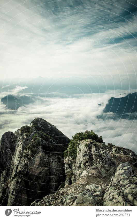 wolkenmeer Umwelt Natur Landschaft Pflanze Tier Urelemente Himmel Wolken Horizont Sommer Herbst Sträucher Hügel Felsen Alpen Berge u. Gebirge Gipfel Ferne