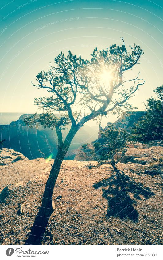 Solitude Umwelt Natur Landschaft Urelemente Erde Klimawandel Wetter Schönes Wetter Abenteuer Senior Farbfoto mehrfarbig Außenaufnahme Abend Dämmerung Licht