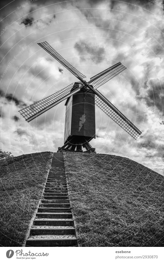 Alte Mühle in Brügge schön Ferien & Urlaub & Reisen Tourismus Sommer Haus Natur Landschaft Himmel Wind Gras Hügel Gebäude Architektur Holz alt historisch blau