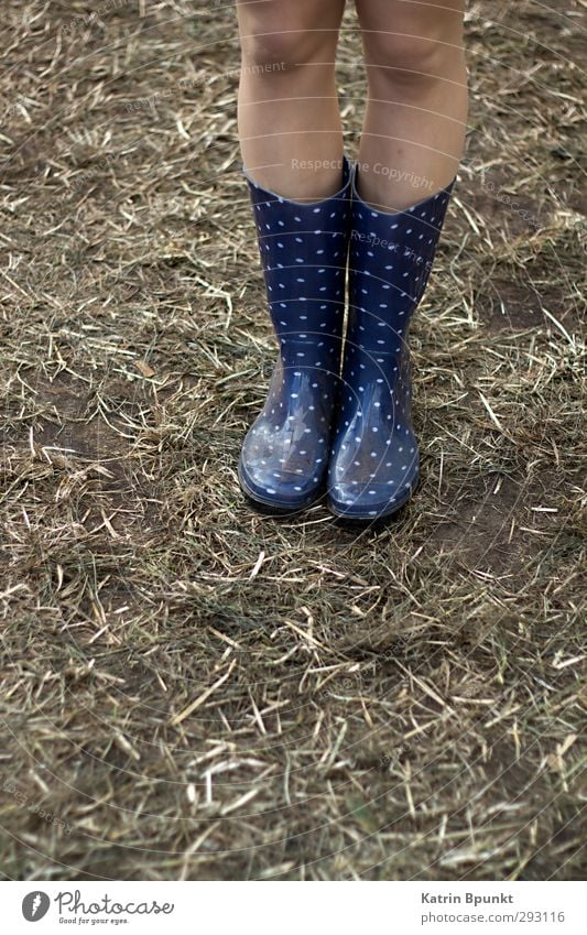 gumboots #3 Mensch Beine 1 Musikfestival schlechtes Wetter Wiese Gummistiefel stehen Farbfoto Außenaufnahme