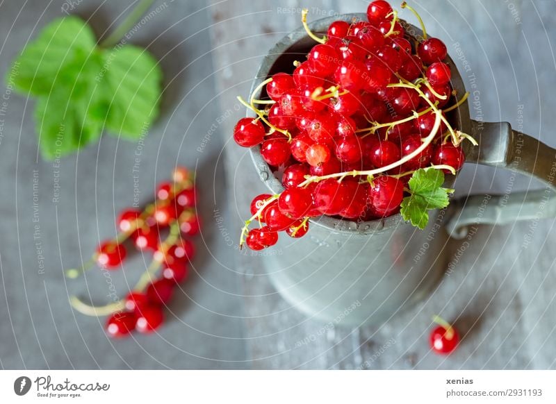 Frische Johannisbeeren im Becher Frucht Ernährung Bioprodukte Vegetarische Ernährung Diät lecker sauer süß grün rot Zinkbecher Krug Foodfotografie Farbfoto