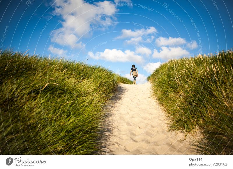 Long Way Home III Mensch feminin Junge Frau Jugendliche Mutter Erwachsene Körper 1 30-45 Jahre Natur Landschaft Himmel Sonne Sommer Klima Wetter Schönes Wetter