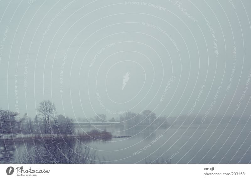 stürmische Zeiten Umwelt Natur Landschaft Himmel Winter Klima schlechtes Wetter Unwetter Wind Schnee Schneefall Sträucher Seeufer kalt blau Farbfoto