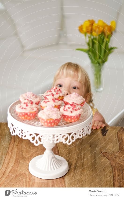 Die Versuchung Teigwaren Backwaren Süßwaren Häusliches Leben Wohnung Tisch Wohnzimmer Feste & Feiern Geburtstag feminin Kind Mädchen Kindheit 1 Mensch 3-8 Jahre