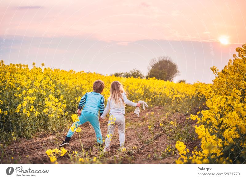 Kinder gehen auf den Sonnenuntergang zu. Lifestyle schön Freiheit Sommer Junge Hand Natur Landschaft Himmel Blume Blüte Wiese Straße schlafen träumen Wachstum