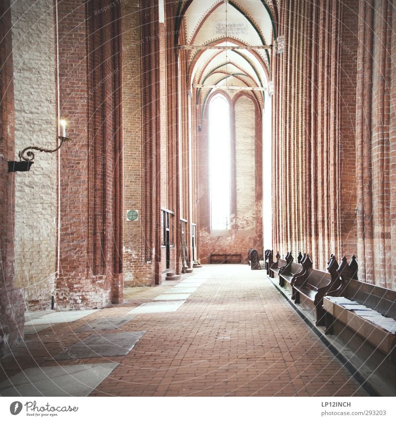 + Wismar Kirche Bauwerk Gebäude Sehenswürdigkeit Schutz Hoffnung Glaube Religion & Glaube Gott Gotteshäuser Gebet Kirchenfenster Kirchenbank historisch